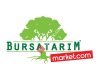 Bursa Tarım Market