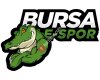 BursaEspor Oyun Merkezi