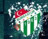 Bursaspor Gemlik Futbol OKULU