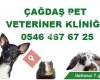 Çağdaş Pet Veteriner Kliniği