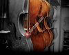 Cakir Violin's
