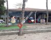 Çamlık Aile Çay Bahçesi
