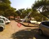 Çamlik Kamping