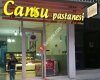 Cansu Pastanesi