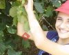 Çarşamba Organik Fındık Üreticileri Birliği