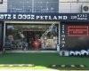 Catz and Dogz Petland 3