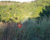 Çayağzı Mahallesi Muhtarlığı