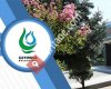 Çayırova Belediyesi Park ve Bahçeler Müdürlüğü