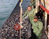 Çaypınar Balıkçılık