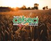 Cebeci Ekmek Fırını