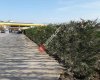 CEMRE Fidan, Peyzaj ve bahçe düzenleme