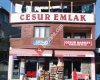 CESUR MARKET