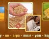 Çiçek Ticaret Ltd. Şti.