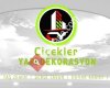 Çiçekler Yapı Dekorasyon