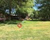 Çınar Piknik Alanı