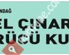 Çınar Sürücü Kursu