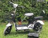 รถจักยานไฟฟ้า สกูเตอร์ไฟฟ้า รถจักยานสามล้อ CJ.ebikes