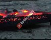 Cobra mangal