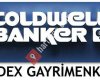 Coldwell Banker Endex