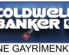 Coldwell Banker One