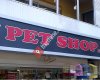 Color Pet Shop