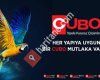 Cubo Boya