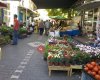 Culinary Ayvalık