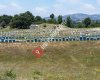Dağkovan Bal