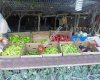 Dağyenice Köyü Manavı