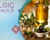 Dalgıç Zeytin
