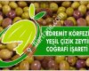 Damla Zeytincilik