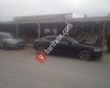 Deniz Yıldızı Balıkçılık