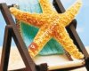 deniz yıldızı halı yıkama