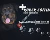 Denizli Pozitif Köpek Eğitimi
