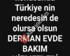 Derman evde bakim