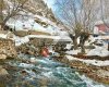 Dersim Haber Ajansı