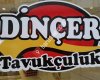 Dinçer Tavukçuluk