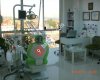 Diş Hekimi Gökçe Aydın