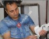 Diyarbakır Güvercin Alım Satım