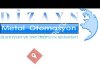 Dizayn Metal Otomasyon
