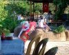 AKBÜK Doğa Restaurant, Otel, Camping, Beach