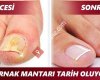 Doğal Marketin