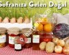 dogalfile.com