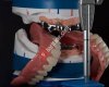 Dr.Dt Ural Karaduman Diş Kliniği-Periodontoloji-Dişeti hastalıkları