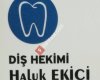 Dr. Haluk Ekici