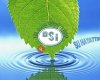 DSİ 132. Şube Müdürlüğü