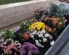 Efo çiçek mezar bakım hizmetleri