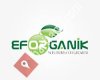 Eforganik Tarım