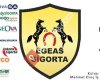 EGEAS Sigorta Aliağa