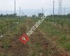 Egesu Tank ve Sulama